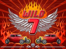 Wild 7-Amatic