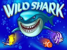 Wild Shark-Amatic