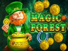 Magic Forest-Amatic