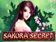 Sakura Secret-Amatic