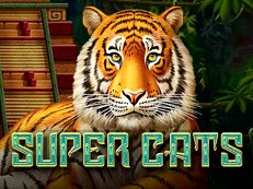 Super Cats-Amatic