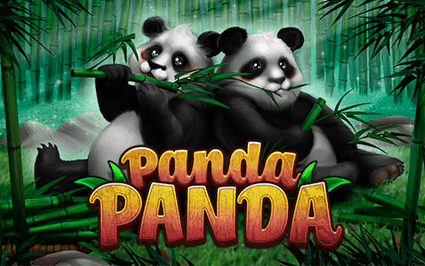 Panda Panda-Habanero