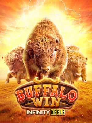 Buffalo Win-PG Soft