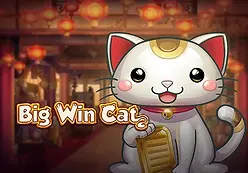 Big Win Cat-Playngo