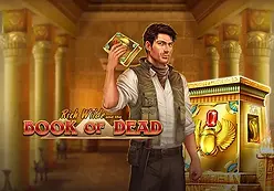 Book of Dead-Playngo