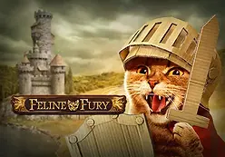 Feline Fury-Playngo