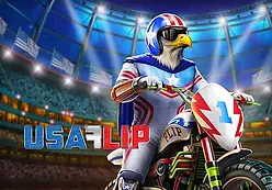 USA Flip-Playngo