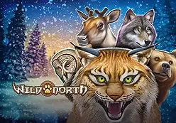Wild North-Playngo