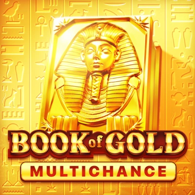 Book of Gold: Multichance-Playson